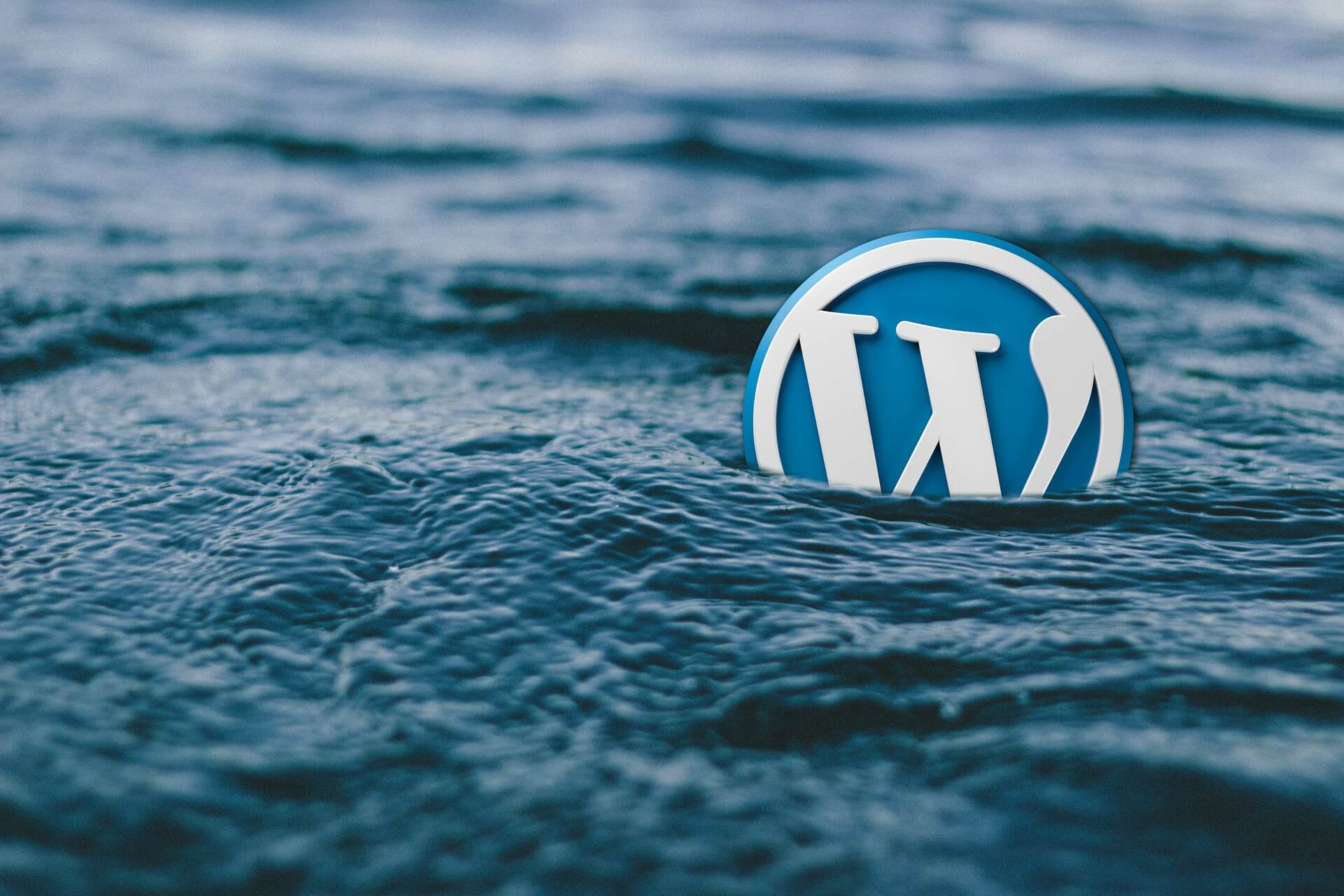 WordPress Umzugsservice beauftragen