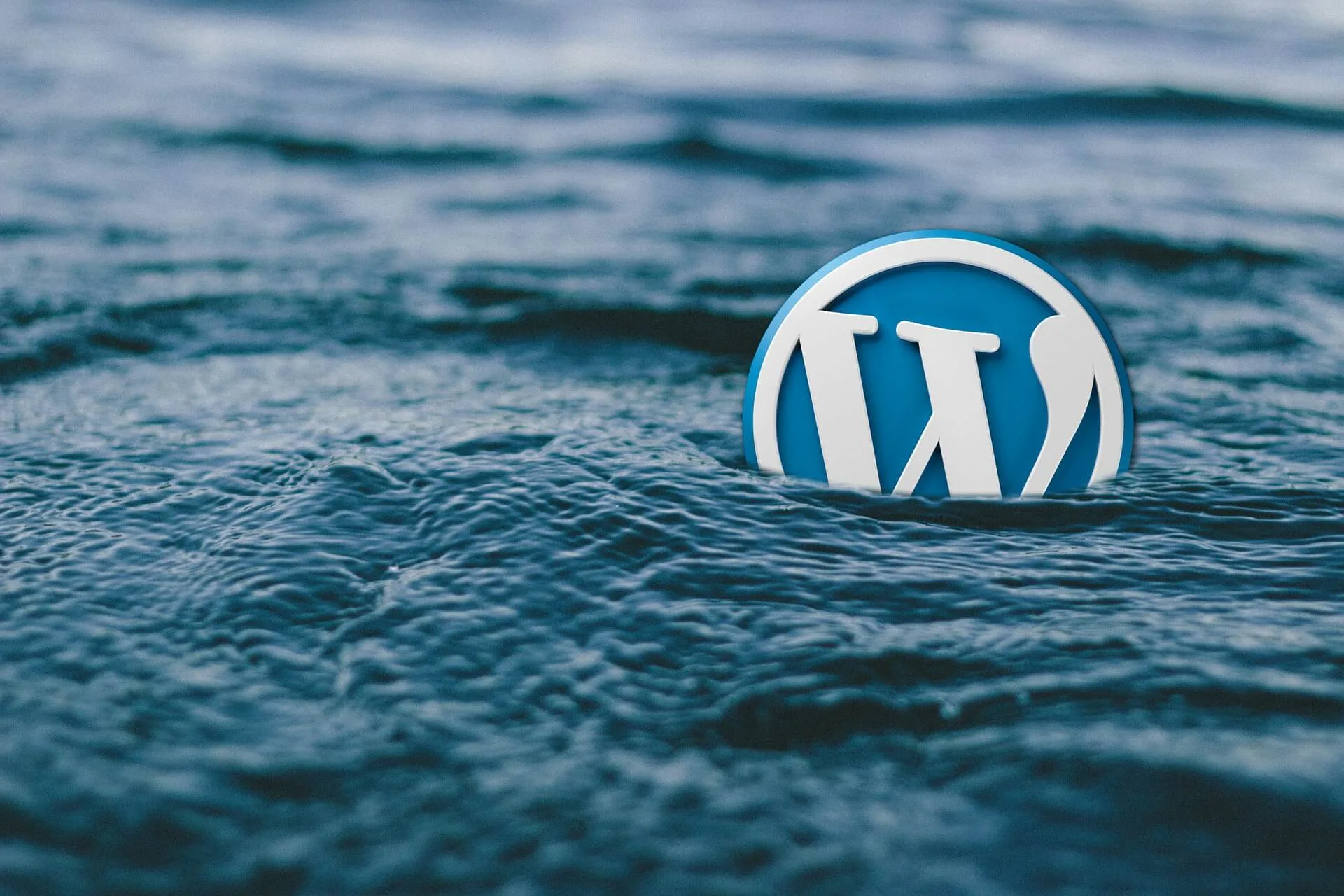 WordPress Umzugsservice beauftragen